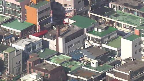 사진=SBS뉴스 캡쳐