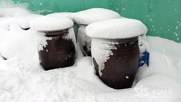 장독대의 쌓인 눈은 겨울을 느끼게 한다