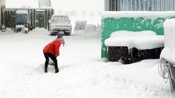 치워도 치워도 쌓이는 눈