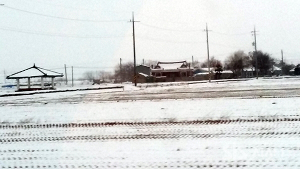 깊어가는 겨울 들판